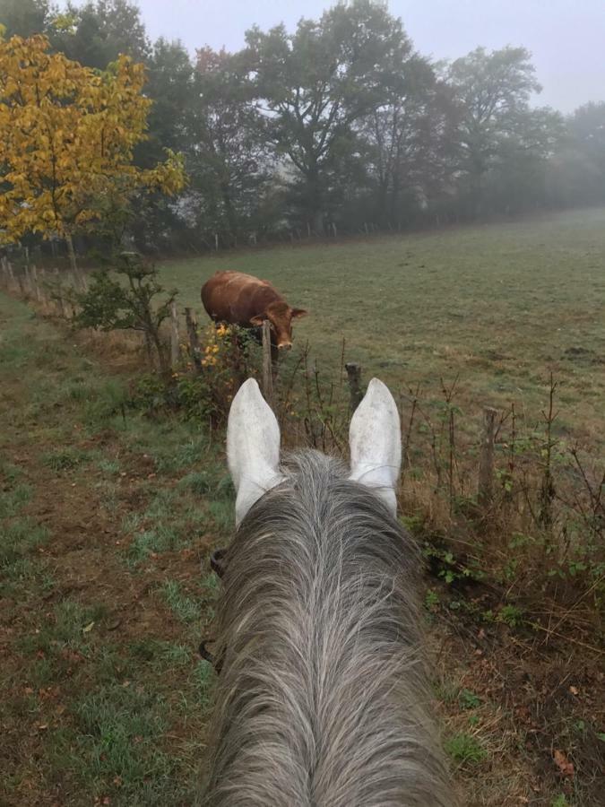 Ferme Gite Equestre En Charente Confolens Buitenkant foto